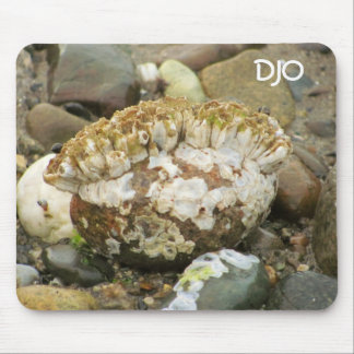 Barnacle Mohawk Beach Rock Mouse Pad