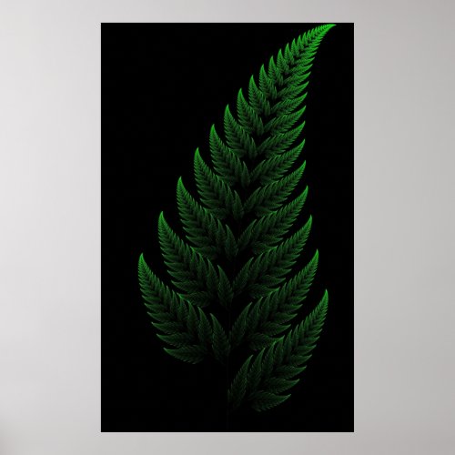 Barnsley Fern Poster