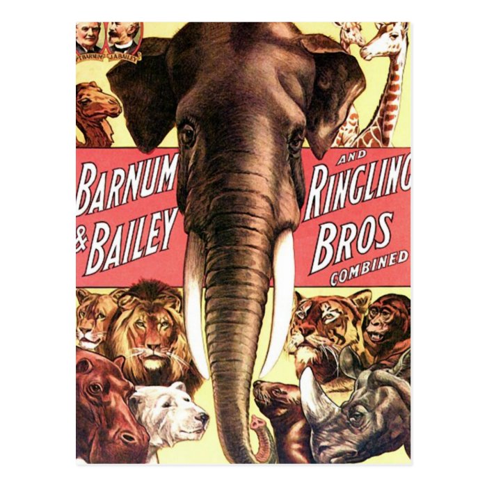 Barnum & Bailey and Ringling Bros Combined   Eleph Post Card