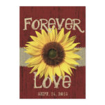 Barnwood