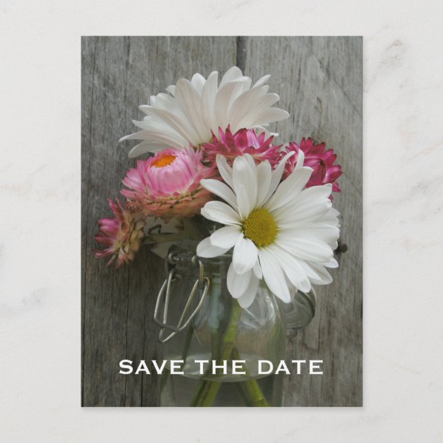 Barnwood, Daisies, & Strawflowers Save The Date Announcement Postcard (Front)