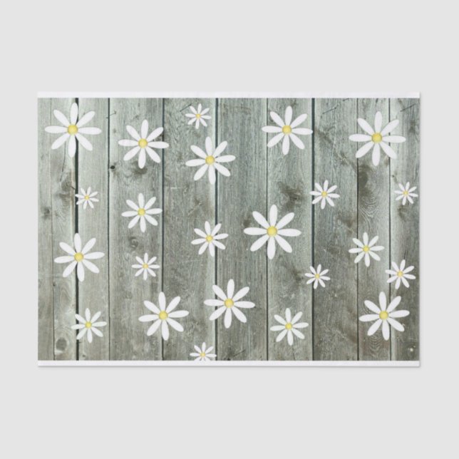 Barnwood Daisy Tissue Paper (Front)
