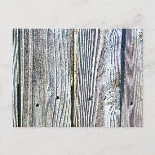 Barnwood wood grain tree bark rustic distressed  postcard