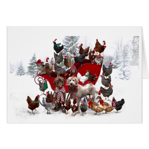 BARNYARD ANIMALS WITH SLEIGH CHRISTMAS CARD