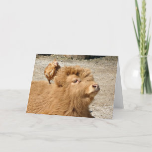 Barnyard friends card