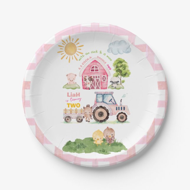 Barnyard Fun Pink 2nd Birthday  Paper Plates (Front)
