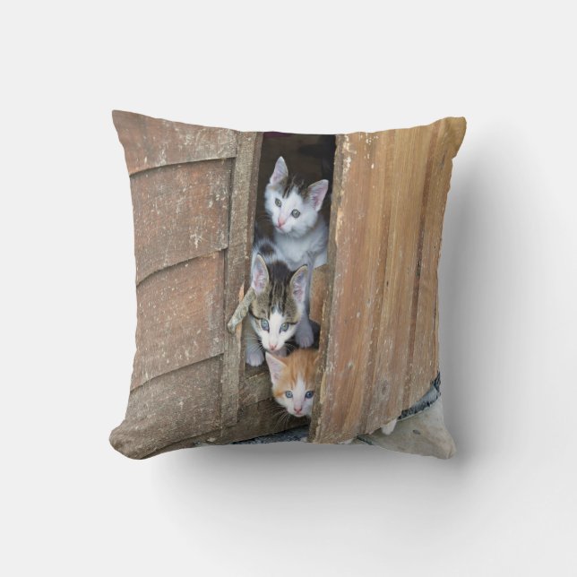Barnyard Kittens Throw Pillow (Front)