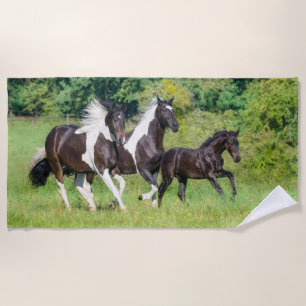 Barock Pinto Horses Herd with Cute Foal Galloping Beach Towel