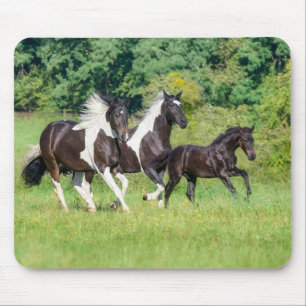 Barock Pinto Horses Herd with Cute Foal Galloping Mouse Pad