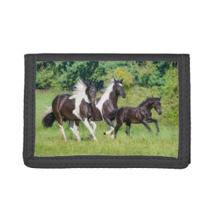 Barock Pinto Horses Herd with Cute Foal Galloping Tri-fold Wallet