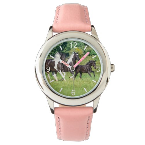 Barock Pinto Horses Herd with Cute Foal Galloping Watch