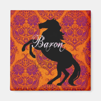 Baron Magnet