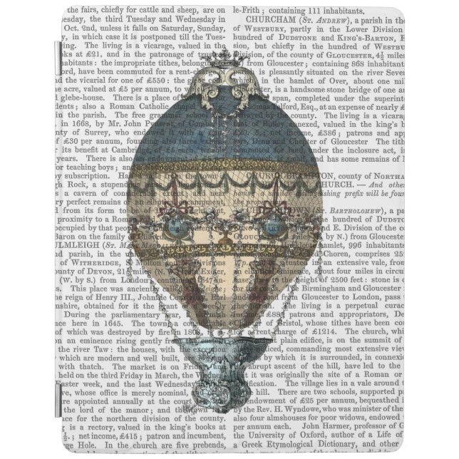 Baroque Fantasy Balloon 2 2 iPad Air Cover (Front)