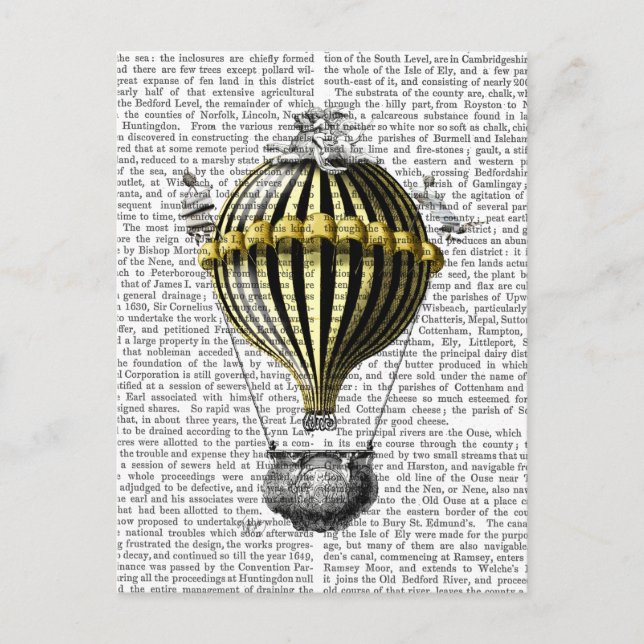 Baroque Fantasy Balloon 3 Postcard (Front)