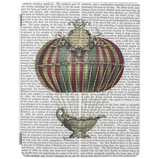Baroque Fantasy Balloon 4 iPad Air Cover (Front)