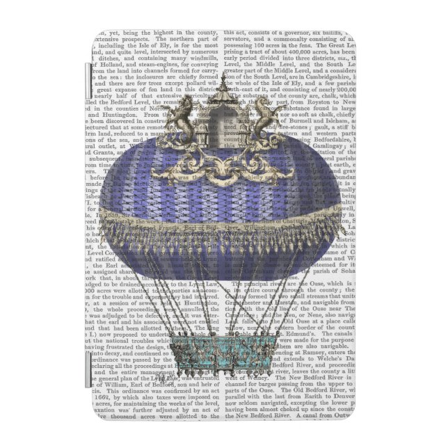 Baroque Fantasy Balloon 5 iPad Mini Cover (Front)
