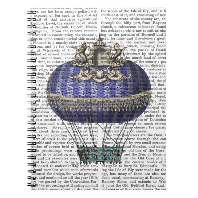 Baroque Fantasy Balloon 5 Notebook (Front)