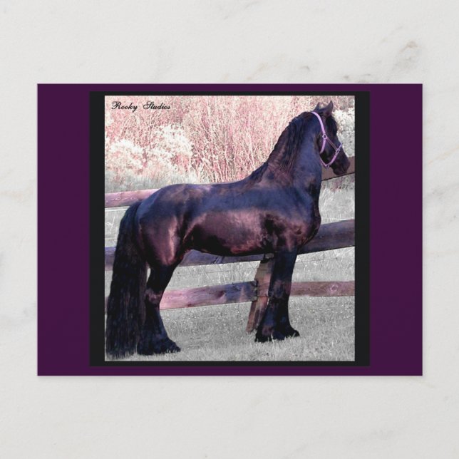 Baroque Horse Postcard, Customizable Postcard (Front)