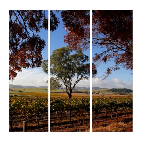 Barossa Valley Landscape Australia Triptych