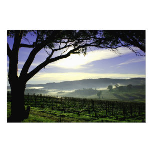 Barossa Valley Landscape Photo Print