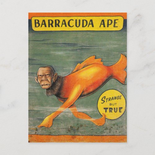 Barracuda Ape Postcard