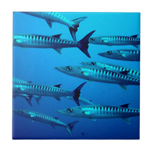 barracuda dive deep sea ocean water tropical wave ceramic tile