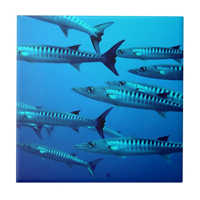 barracuda dive deep sea ocean water tropical wave ceramic tile (Front)