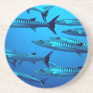 barracuda dive deep sea ocean water tropical wave drink coaster