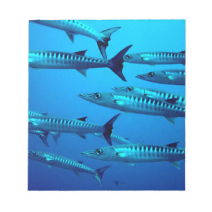 barracuda dive deep sea ocean water tropical wave notepad