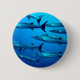 barracuda dive deep sea ocean water tropical wave pinback button