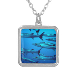 barracuda dive deep sea ocean water tropical wave silver plated necklace