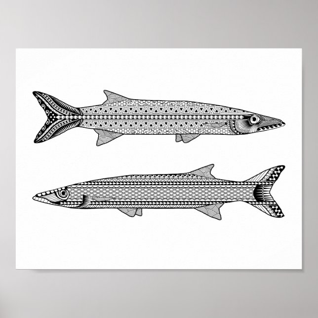 Barracuda Fish Adult Coloring Poster (Front)