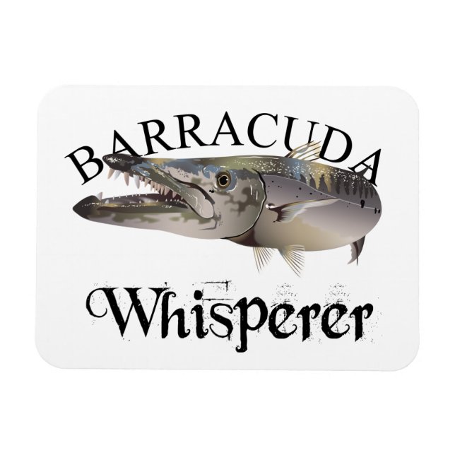 Barracuda Whisperer Light Colored Magnet (Horizontal)