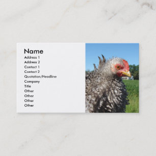 Barred Frizzle Chicken Business Card