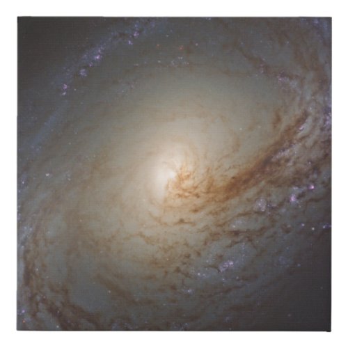 Barred Lenticular Galaxy Ngc 3368 Faux Canvas Print