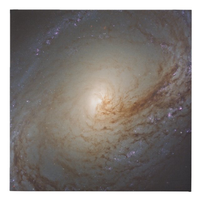 Barred Lenticular Galaxy Ngc 3368 Faux Canvas Print (Front)