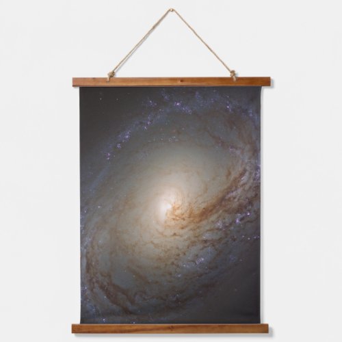 Barred Lenticular Galaxy Ngc 3368 Hanging Tapestry