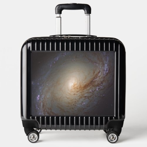 Barred Lenticular Galaxy Ngc 3368 Luggage