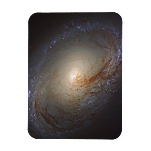 Barred Lenticular Galaxy Ngc 3368 Magnet