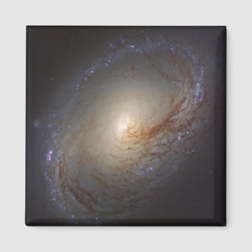 Barred Lenticular Galaxy Ngc 3368 Magnet