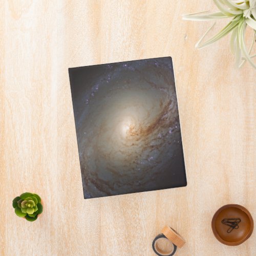 Barred Lenticular Galaxy Ngc 3368 Mini Binder