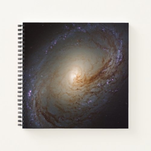 Barred Lenticular Galaxy Ngc 3368 Notebook