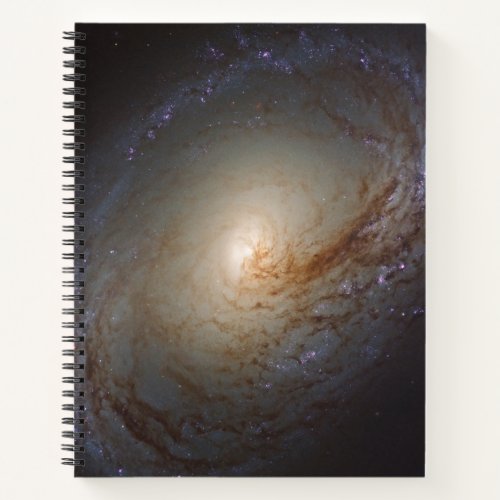 Barred Lenticular Galaxy Ngc 3368 Notebook