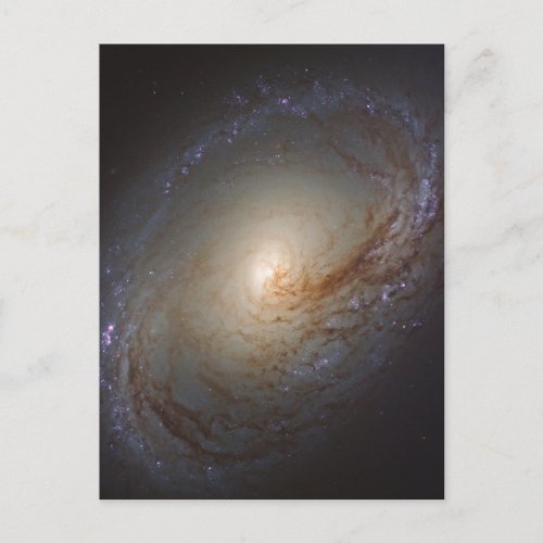 Barred Lenticular Galaxy Ngc 3368 Postcard