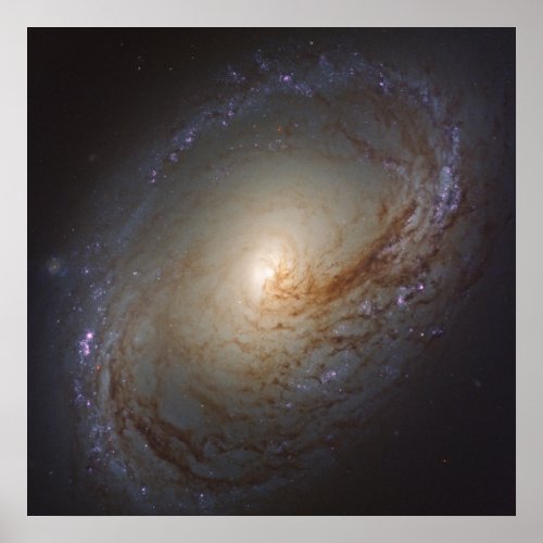 Barred Lenticular Galaxy Ngc 3368 Poster