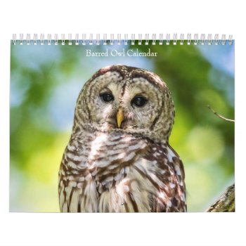 Barred Owl 2024 Calendar by debscreative at Zazzle