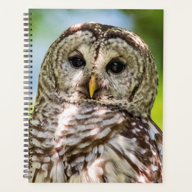 Barred Owl 2026 Planner | Hudson Valley Wildlife (Front)