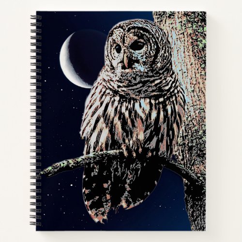 Barred Owl and Crescent Moon in Starry Sky Notebook