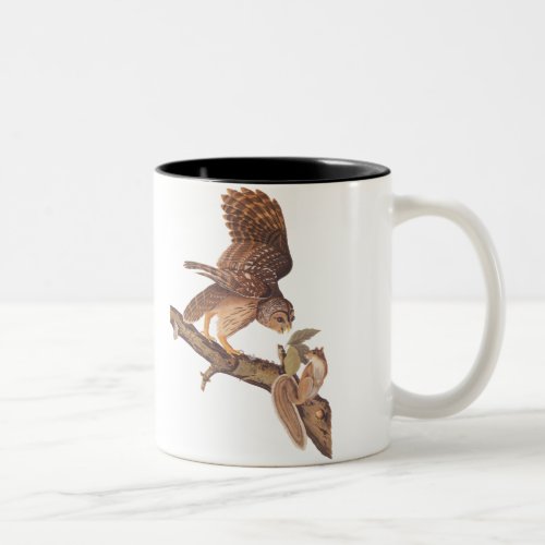 Barred Owl and Happy Squirrel Audubon Art Two_Tone Coffee Mug