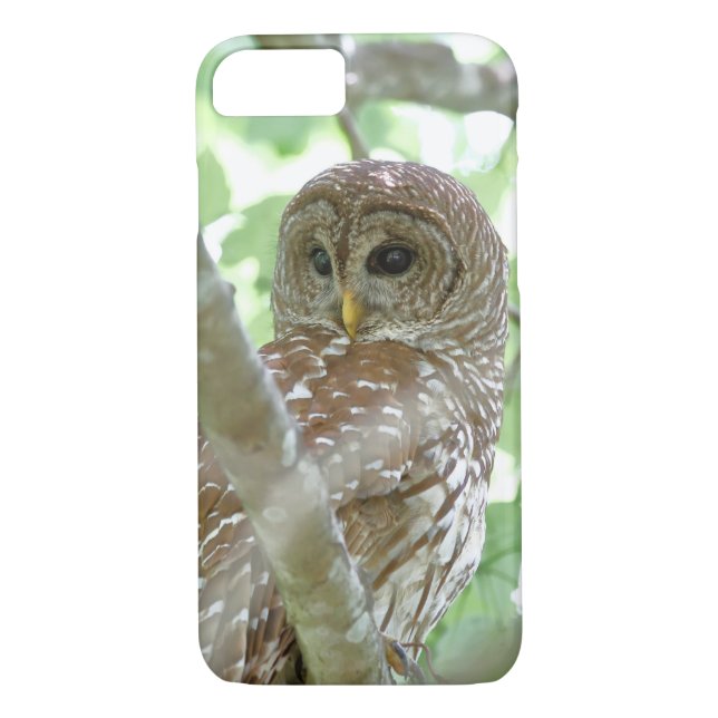 Barred Owl Apple iPhone 7 Case (Back)